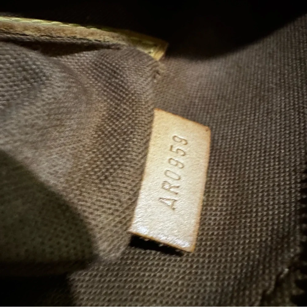Louis Vuitton Classic Brown Satchel